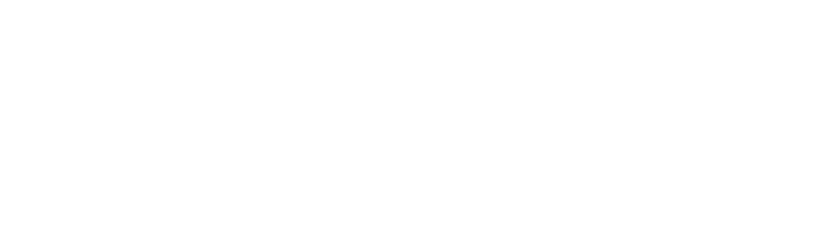 DeLeon Segurança